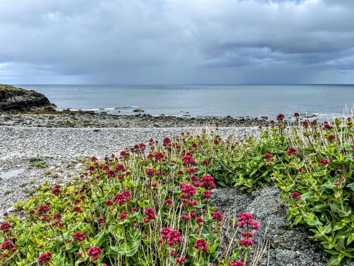 Mynydd A Mor Villa Trevor Eksteriør billede